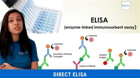 elisa test youtube|elisa results explained.